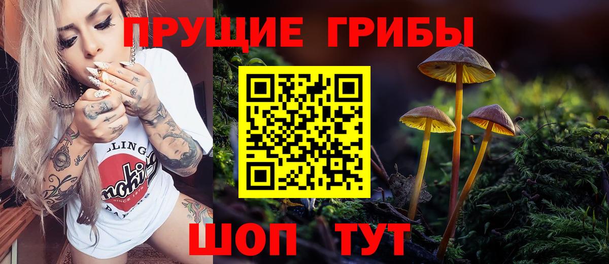 Большой Камень  Псилоцибиновые грибы GOLDEN TEACHER  Галлюциногенные грибы Psilocybe  Вход с VPN 